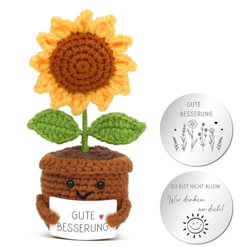 Aurasky Gehäkelte Sonnenblume, Gute Besserung Blume, Pocket Hug Sonnenblume mit Umarmung Glücksbringer, Gestrickte Blumenpuppe, Mutmacher Geschenk für Freund Familie Kollegen Aurasky Gehäkelte Sonnenblume, Gute Besserung Blume, Pocket Hug Sonnenblume mit Umarmung Glücksbringer, Gestrickte Blumenpuppe, Mutmacher Geschenk für Freund Familie Kollegen von Aurasky