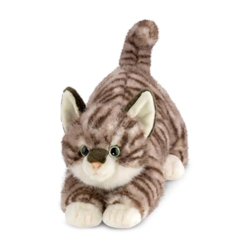 Aurora Uk Aurora 61612 Borealis Esme Tabby-Katze 35,6 cm, Plüschtier, Weiß und Braun Aurora Uk Aurora 61612 Borealis Esme Tabby-Katze 35,6 cm, Plüschtier, Weiß und Braun von Aurora Uk