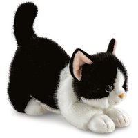 Borealis Domino B&W Cat Borealis Domino B&W Cat von Aurora World