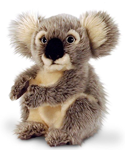 Lashuma Plüschtier Koala Bär, Keel Toys Kuscheltier sitzend 28 cm von Lashuma