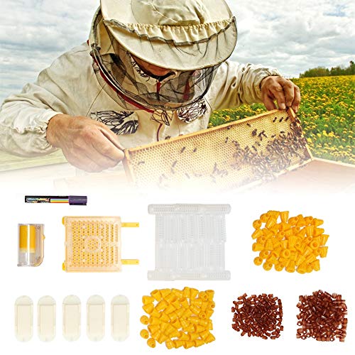 Ausla Bienenzüchtungsset Käfig mit Markierungsflaschen -Kit, Verbesserung der Königin -Aufzucht für Vielseitige und Effektive Bienenzuchtwerkzeuge Ausla Bienenzüchtungsset Käfig mit Markierungsflaschen -Kit, Verbesserung der Königin -Aufzucht für Vielseitige und Effektive Bienenzuchtwerkzeuge von Ausla