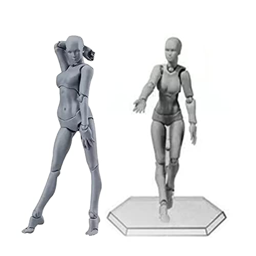 Ausla Manikin Actionfigur Modell, Maßstab Muskel Aktion Flexibles Modell mit Kopfskulptur Miniaturkörperpuppe für Skizzieren, Malen, Zeichnen (Frau) von Ausla