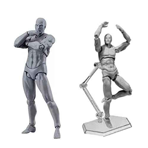 Ausla Manikin Actionfigur Modell, Maßstab Muskel Aktion Flexibles Modell mit Kopfskulptur Miniaturkörperpuppe für Skizzieren, Malen, Zeichnen (Mann) von Ausla
