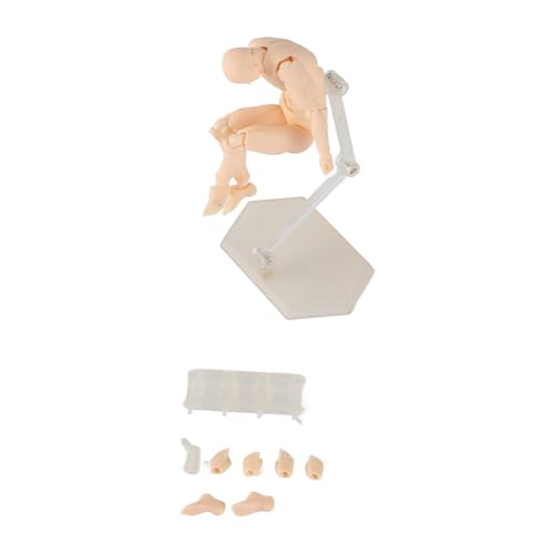 Ausla Manikin Actionfigur Modell, Maßstab Muskel Aktion Flexibles Modell mit Kopfskulptur Miniaturkörperpuppe für Skizzieren, Malen, Zeichnen (Mann) von Ausla