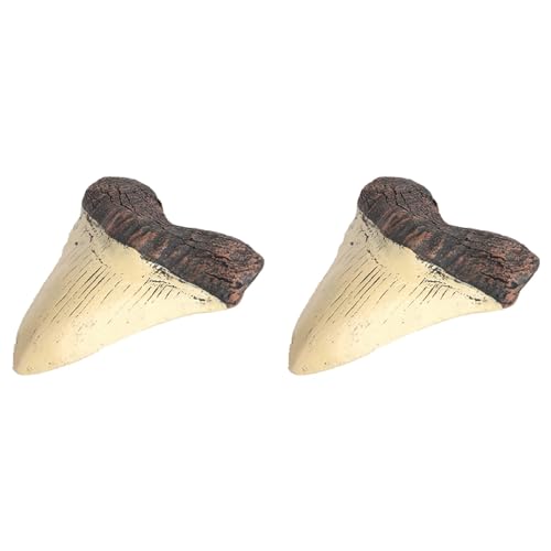 AutoSwan 2X Megalodon Tooth Fossil Riesenhaifischzahn Megalodon Tooth Resin Replica von AutoSwan