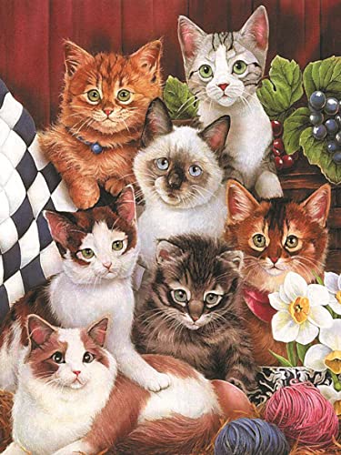 Puzzle 500 Teile Erwachsene Katzen 52 x 38 cm Puzzles für Erwachsene Lernspiel Herausforderungsspielzeug 500-teilige Katzen Puzzles für Erwachsene Kinder von AveJoys