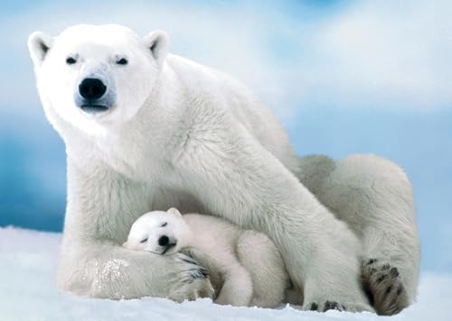 Puzzle für Erwachsene 1000 Teile Eisbär und Baby 70 x 50 cm Puzzles für Erwachsene Pädagogisches Spiel Herausforderung Spielzeug 1000 Teile Puzzles für Erwachsene Kinder Puzzle für Erwachsene 1000 Teile Eisbär und Baby 70 x 50 cm Puzzles für Erwachsene Pädagogisches Spiel Herausforderung Spielzeug 1000 Teile Puzzles für Erwachsene Kinder von AveJoys