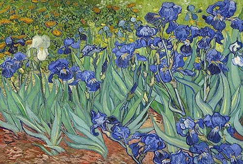 Puzzles 1000 Teile für Erwachsene, Irises von Vincent Van Gogh, 70 x 50 cm, Puzzles für Erwachsene, pädagogisches Herausforderungsspielzeug, 1000 Teile Van Gogh-Puzzles für Erwachsene und Kinder von AveJoys