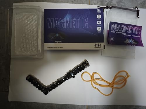 Axinost 24 magnetische Steine,Magnetisches Schachspiel,Tragbares Magnetspiel,Puzzle Checkers Spiel-Reisen Schach Magnetisch,Tischplatte Magnet Spiel Spielzeug,Anwendbar auf Partyspiele mit der Familie von Axinost