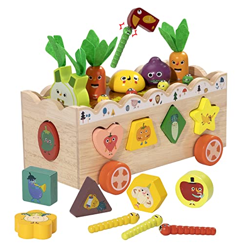 Ayakizi Montessori Holzspielzeug für Kinder, Möhren Steckspiel Motorikspielzeug ab 12 Monaten, Holzpuzzle Sortier Stapelspielzeug, Lernspielzeug Geschenk für Kleinkinder ab 2 3 4 Jahr von Ayakizi