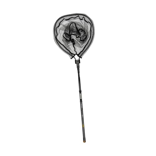 Aymzbd Angelkescher mit Teleskopstange, Leichtes Netznetz, Fischfangnetz für Garnelen, Minnow, Barsch, 45cm Aymzbd Angelkescher mit Teleskopstange, Leichtes Netznetz, Fischfangnetz für Garnelen, Minnow, Barsch, 45cm von Aymzbd