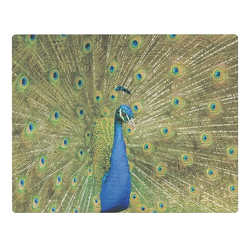 Azeeda A3 'Pfau-Anzeige' 252-Teiliges Puzzle (JI00000039) von Azeeda