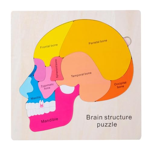 Aznever Anatomie-Struktur-kognitives Puzzle, Anatomie für Kinder,Mehrschichtige Anatomiestruktur aus Holz, kognitives Puzzlespielzeug | Bildungswissenschaftliches Lernzubehör für die frühe von Aznever
