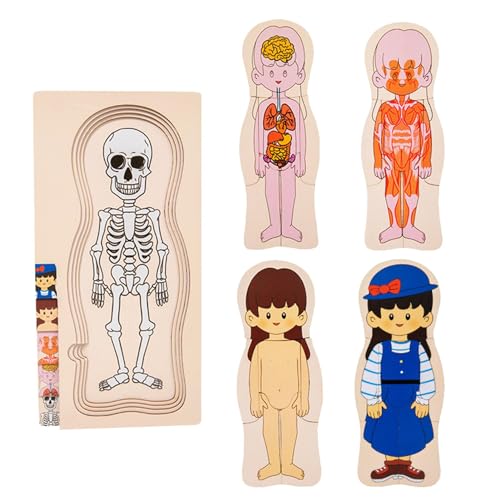 Aznever Menschliche Anatomie für Kinder, Puzzle zum menschlichen Körper - Mehrschichtiges kognitives Puzzlespielzeug aus Holz für den menschlichen Körper,Pädagogisches, multifunktionales, interaktives von Aznever