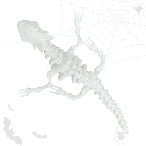 BACH AND BOOZY Gothic Skelett Knochen Drache Figur Schatten Geist Fantasy Drachen Dekor Figur Halloween Figur Party Supplies Tischdekoration Geburtstagsgeschenk für Gamer BACH AND BOOZY Gothic Skelett Knochen Drache Figur Schatten Geist Fantasy Drachen Dekor Figur Halloween Figur Party Supplies Tischdekoration Geburtstagsgeschenk für Gamer von BACH AND BOOZY