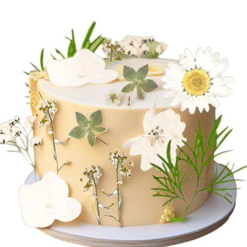 White Blumen Party Kuchen Dekorationen Boho Tortendeko Wildflower Decor Baby In Bloom für Baby Shower Geburtstag Brautdusche Hochzeit Party Dekoration White Blumen Party Kuchen Dekorationen Boho Tortendeko Wildflower Decor Baby In Bloom für Baby Shower Geburtstag Brautdusche Hochzeit Party Dekoration von BACH AND BOOZY