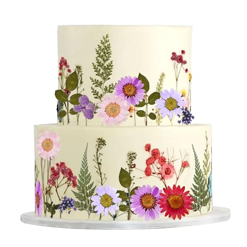 Wildflower Tortenaufleger Wildblumen Dekoration Baby In Bloom Babydusche Kuchen Toppers Für Frauen Geburtstag Bridal Shower Hochzeit Party Dekoration Wildflower Tortenaufleger Wildblumen Dekoration Baby In Bloom Babydusche Kuchen Toppers Für Frauen Geburtstag Bridal Shower Hochzeit Party Dekoration von BACH AND BOUJEE