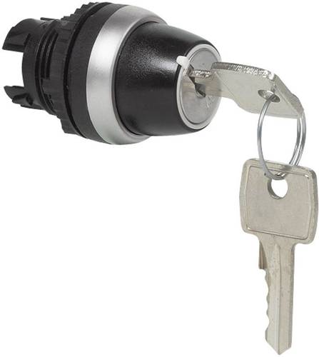 BACO 223950 L21LA00 Schlüsselschalter Frontring Kunststoff, verchromt Schwarz, Chrom 1 x 45° 1St. von BACO