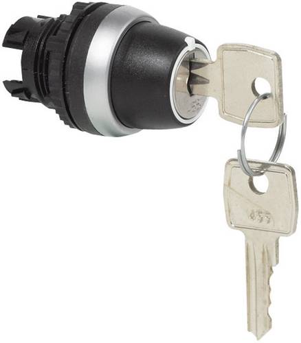 BACO 223963 L21NK00 Schlüsselschalter Frontring Kunststoff, verchromt Schwarz, Chrom 2 x 45° 1St. von BACO