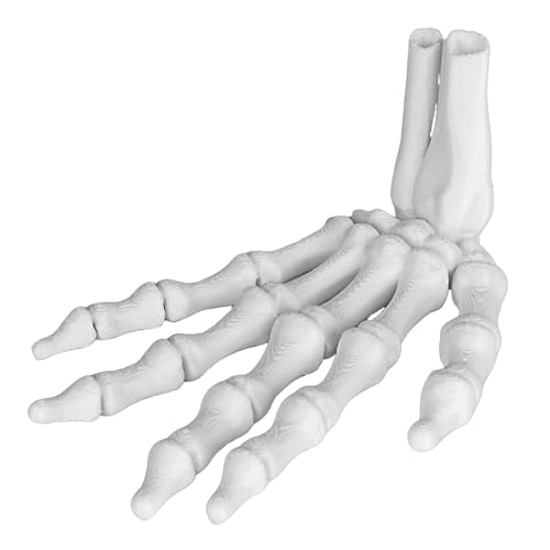BAMTTOO Halloween Skeleton Hands Right Skeleton Hand Bones 3D Printed Toy Halloween Home Decoration Party Terror Scary Props BAMTTOO Halloween Skeleton Hands Right Skeleton Hand Bones 3D Printed Toy Halloween Home Decoration Party Terror Scary Props von BAMTTOO