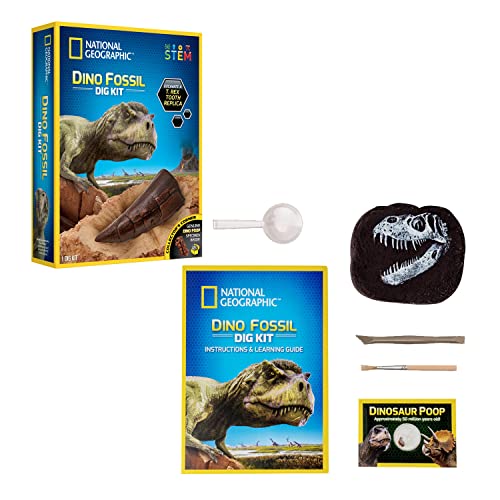 Bandai – National Geographic – Ausgrabungsset – 3 Dinosaurier-Fossilien zum Ausgraben – Bildungs- und Wissenschaftsspiel – STEM – JM80568M von BANDAI