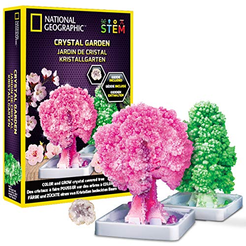 BANDAI JM02766 National Geographic-Crystal Garden Starts Growing in 20 Minutes-Educational Science Kit von National Geographic