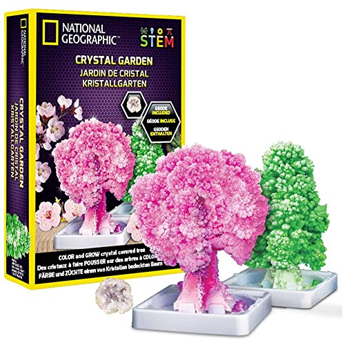 BANDAI JM02766 National Geographic-Crystal Garden Starts Growing in 20 Minutes-Educational Science Kit von National Geographic