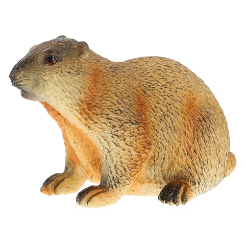 BATHVEVE Realistisches Erdmännchen Modell Simulierte Tierfigur Für Bildung Und Dekoration Als Schreibtisch Oder Wohnaccessoire von BATHVEVE