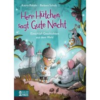 BAUMHAUS VERLAG 01031 Herr Hütchen sagt Gute Nacht - Einschlaf-Geschichten aus dem Wald (Band 1) von BAUMHAUSVERLAG