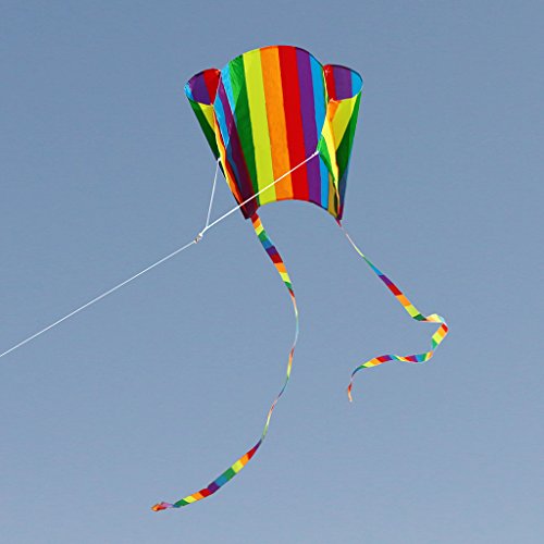BAYORE Neues Regenbogen Gleitschirm Mit Schwänzen Weiches Flugspielzeug Für 30-m Leine Stunt von BAYORE