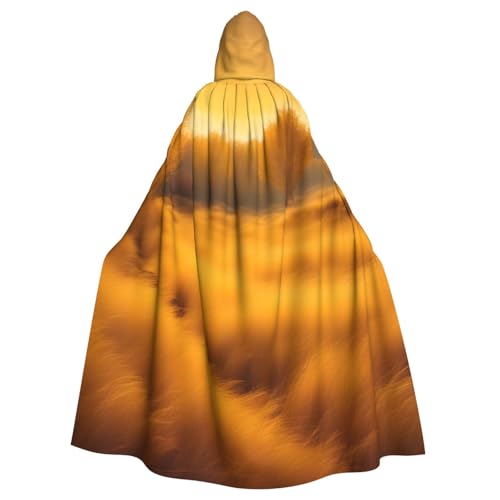 BBEXJIGY Uni Halloween Vampir Hexe Kapuzenumhang Partykostüm BBEXJIGY Uni Halloween Vampir Hexe Kapuzenumhang Partykostüm von BBEXJIGY