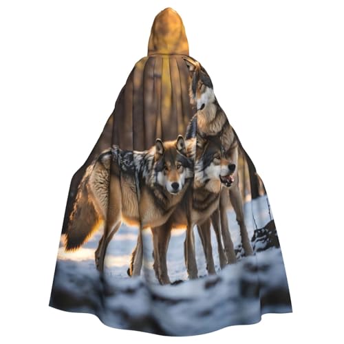 BBEXJIGY Uni-Hexenkostüm mit Wolfsaufdruck BBEXJIGY Uni-Hexenkostüm mit Wolfsaufdruck von BBEXJIGY