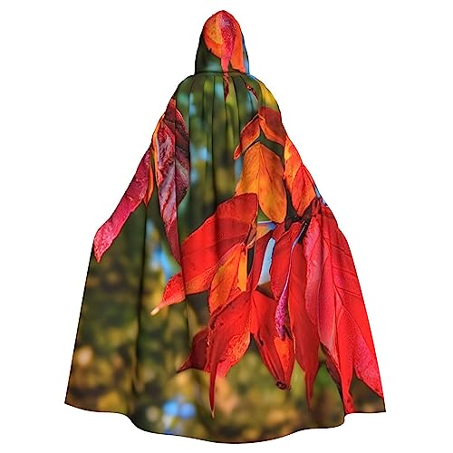 BBEXJIGY Uni Rote Blätter Herbst Obst Druck Kapuzenumhang Halloween Hexenkostüm BBEXJIGY Uni Rote Blätter Herbst Obst Druck Kapuzenumhang Halloween Hexenkostüm von BBEXJIGY