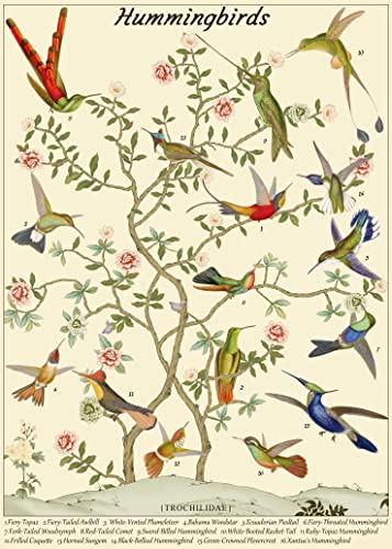 Vintage Vogel Puzzle für Erwachsene, Kolibri Puzzle 1000 Teile, Vintage Blumen Puzzle als Vogelliebhaber Geschenke von BBOLDIN