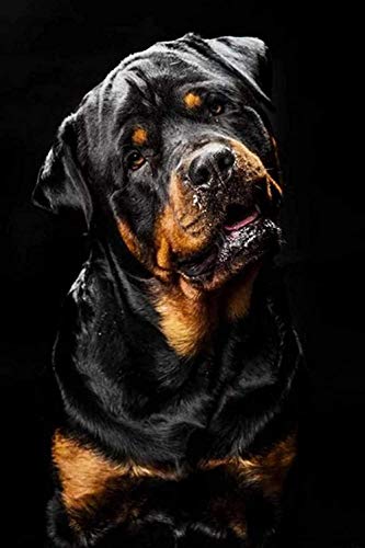 BBSJX Holzpuzzle 1000 Stück Puzzle Rottweiler DIY Holzpuzzle Fun Game Kinderpuzzle Erwachsene Einzigartiges Dekompressionsgeschenk 50x75cm,Impossible Puzzle BBSJX Holzpuzzle 1000 Stück Puzzle Rottweiler DIY Holzpuzzle Fun Game Kinderpuzzle Erwachsene Einzigartiges Dekompressionsgeschenk 50x75cm,Impossible Puzzle von BBSJX