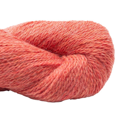 BC Garn Babyalpaca 10/2 111 Lachs von BC Garn