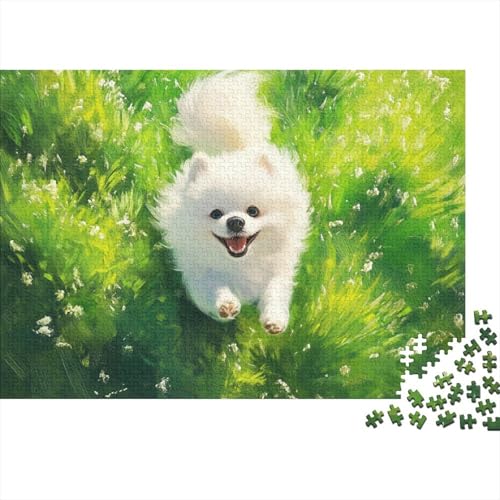 Japanese Spitz Puzzle 1000-teilige Schwer Puzzle Spielzeug Lernspiel Impossible Herausforderungsspielzeug Für Erwachsene Kinder 1000pcs (75x50cm) von BCAKDBDOE