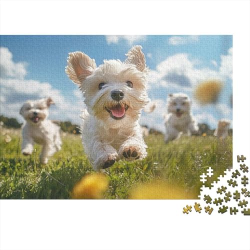 Puzzle 1000 Teile Schwer Puzzle Spielzeug Lernspiel West Highland White Terrier Impossible Herausforderung Spielzeug Für Erwachsene Und Kinder in Bewährter (75x50cm) von BCAKDBDOE