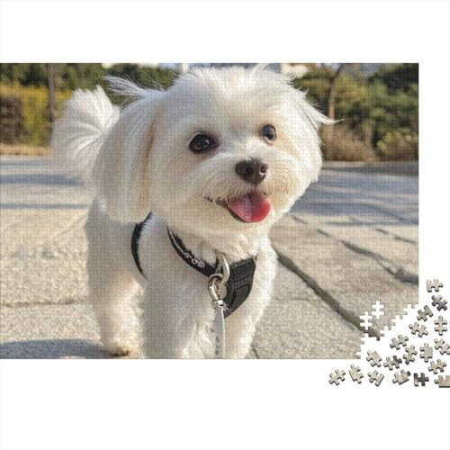 Puzzle West Highland White Terrier 1000 Teile Schwer Puzzle Spielzeug Lernspiel Impossible Herausforderungsspielzeug Für Erwachsene Kinder (75x50cm) von BCAKDBDOE