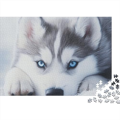 Sibirischer Husky Puzzle 1000 Teile Schwer Puzzle Spielzeug Lernspiel Impossible Herausforderung Spielzeug Für Erwachsene Kinder (75x50cm) von BCAKDBDOE