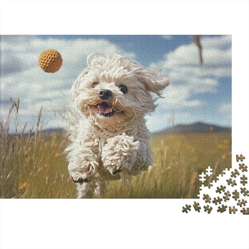 West Highland White Terrier Puzzle 1000 Teile Schwer Puzzle Spielzeug Lernspiel Impossible Herausforderung Spielzeug Für Erwachsene Kinder (75x50cm) von BCAKDBDOE