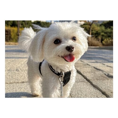 West Highland White Terrier Puzzle 1000 Teile Schwer Puzzle Spielzeug Lernspiel Impossible Herausforderung Spielzeug Für Erwachsene Und Kinder Ab 14 Jahren 70x50cm von BCAKDBDOE