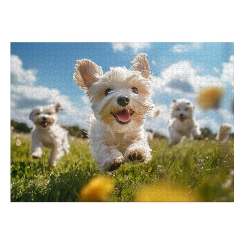 West Highland White Terrier Puzzle 1000 Teile Schwer Puzzle Spielzeug Pädagogisches Spiel Impossible Herausforderungsspielzeug Für Erwachsene Und Kinder in Bewährter 70x50cm von BCAKDBDOE