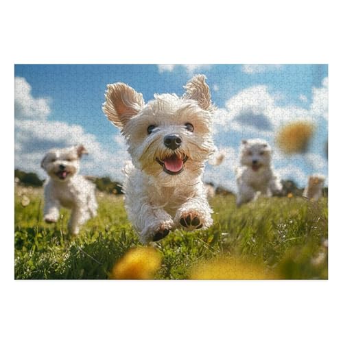 West Highland White Terrier Puzzle 1000-teilige Schwer Puzzle Spielzeug Lernspiel Impossible Herausforderung Spielzeug Für Erwachsene Und Kinder Ab 14 Jahren 38x26cm von BCAKDBDOE