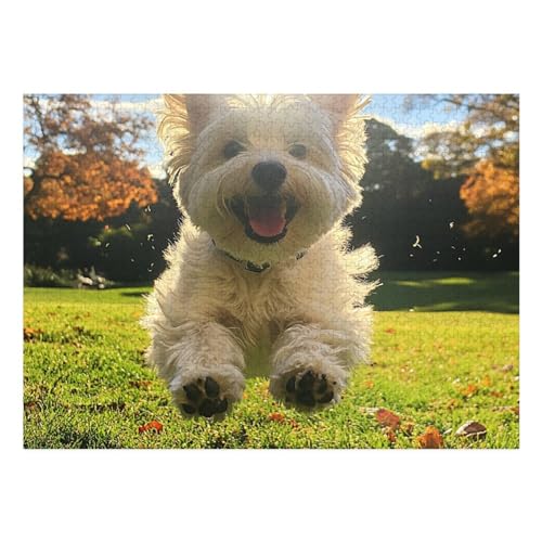West Highland White Terrier Puzzle 1000-teilige Schwer Puzzle Spielzeug Lernspiel Impossible Herausforderungsspielzeug Für Erwachsene Kinder 70x50cm West Highland White Terrier Puzzle 1000-teilige Schwer Puzzle Spielzeug Lernspiel Impossible Herausforderungsspielzeug Für Erwachsene Kinder 70x50cm von BCAKDBDOE