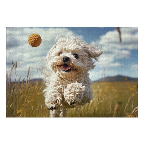 West Highland White Terrier Puzzles 1000 Teile Schwer Puzzle Spielzeug Pädagogisches Spiel Impossible Herausforderungsspielzeug Für Erwachsene Und Kinder Ab 14 Jahren 38x26cm von BCAKDBDOE
