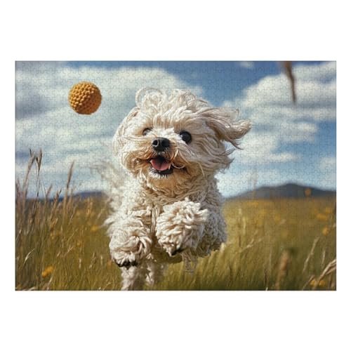 West Highland White Terrier Puzzles 1000 Teile Schwer Puzzle Spielzeug Pädagogisches Spiel Impossible Herausforderungsspielzeug Für Erwachsene Und Kinder Ab 14 Jahren 70x50cm von BCAKDBDOE