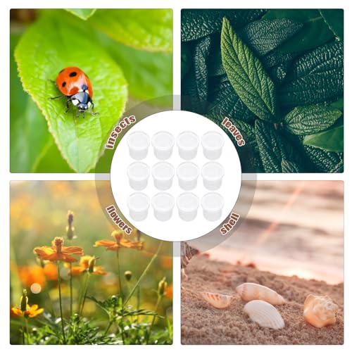 BCOATH 12 Stück Teiliges Insekten beobachtungsset mit Lupe und Belüftung Tragbare Multifunktionale Käfigboxen für Leicht Mittelgroß für Draußen und Lernzwecke BCOATH 12 Stück Teiliges Insekten beobachtungsset mit Lupe und Belüftung Tragbare Multifunktionale Käfigboxen für Leicht Mittelgroß für Draußen und Lernzwecke von BCOATH