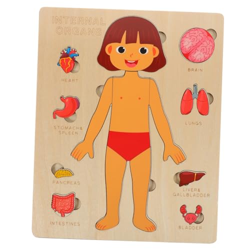 BCOATH 1Satz Holzpuzzle für Puzzle zur Kognitiver Fähigkeiten Hand Auge Koordination und Verständnis der Menschlichen Körperstruktur für Kindergarten von BCOATH