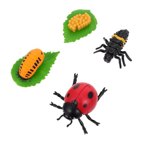 BCOATH 4Stücke Lebenszyklus Figuren Lustiges Kinderspielzeug für Insektenstatue Lernspiel und Rollenspiel Dekoration von BCOATH